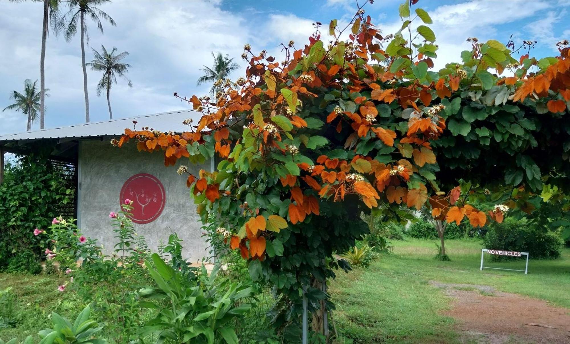 Naivacha Tent Koh Mak Luaran gambar